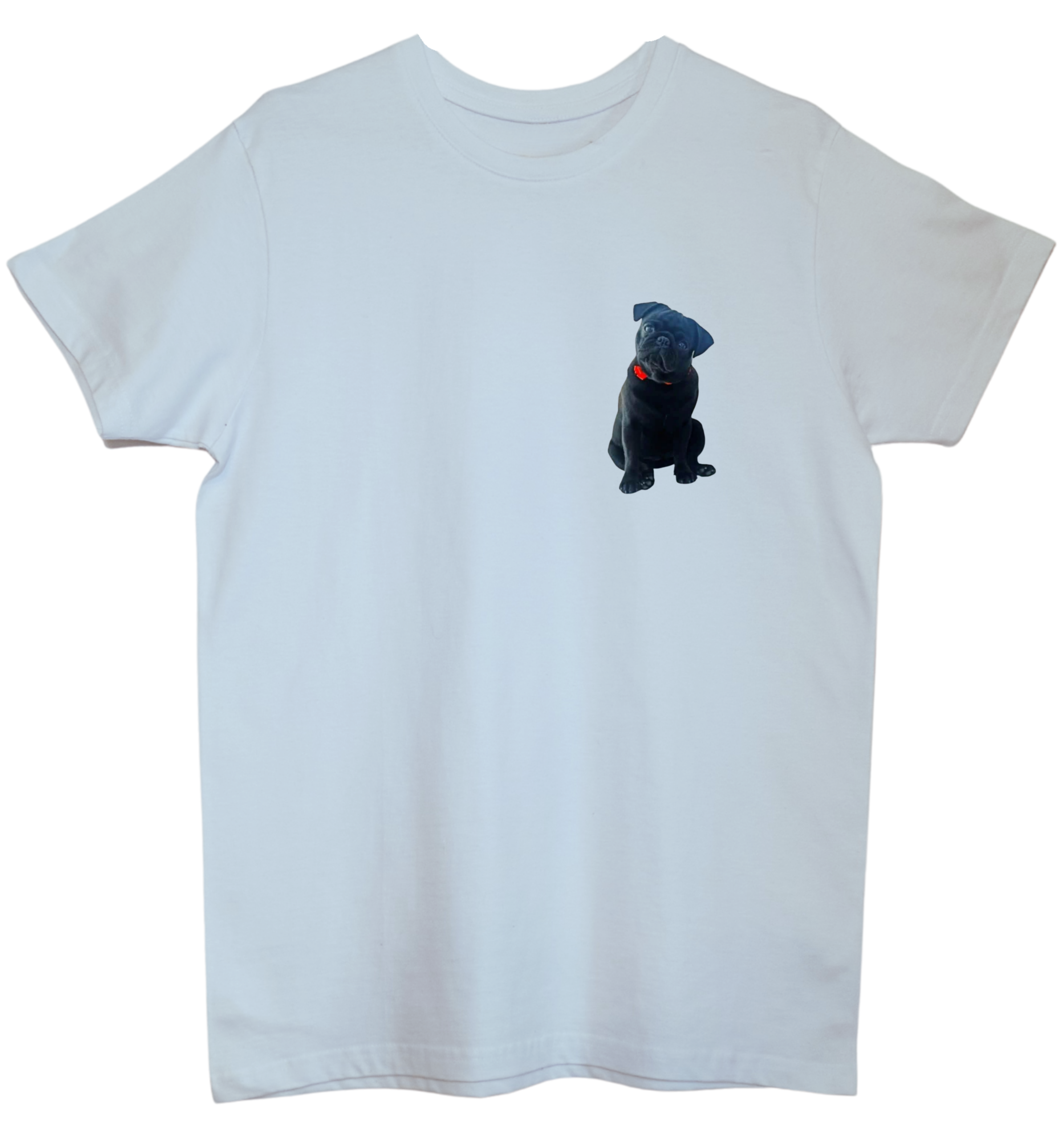 Koszulka T-shirt z Twoim pupilem - personalizowany nadruk